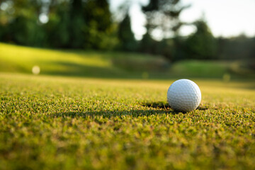 Golf ball in a club in the forest