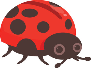 Obraz premium Friendly ladybug is crawling on a white background
