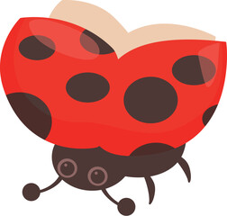 Red ladybug opening its spotted shell while flying in the air