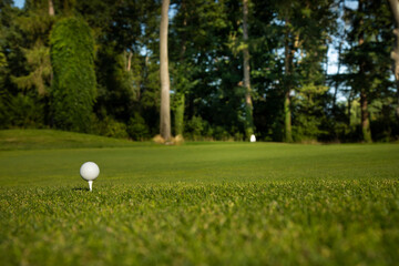 Closeup Golf ball on green grass on course