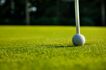 Closeup Golf ball on green grass on course