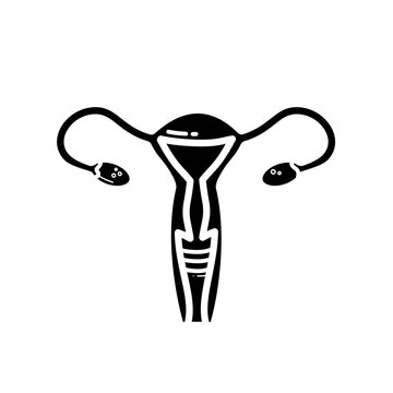 Reproductive system, uterus oviducts, ovaries - vector icon	