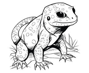 Gila Monster coloring pages cute picture coloring page line