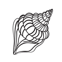 Vector Seashell. Hand drawn illustration of sea Shell on isolated background. Drawing of Scallop on outline style. Sketch of Cockleshell painted by black ink.