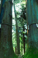 河口浅間神社の山登り