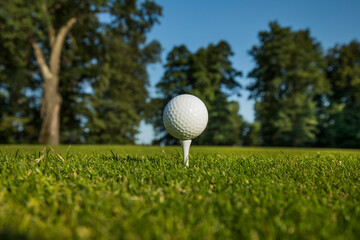 .Golf course with ball and grass