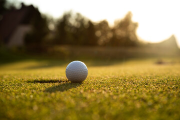 Golf course with ball and grass