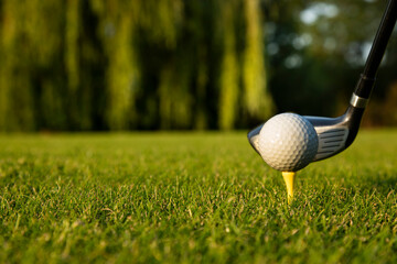 Closeup Golf ball on green grass on course, Sport and lifestyle
