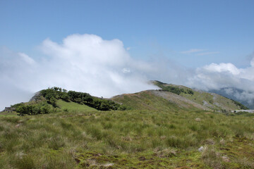雲に覆われる山、風になびく草原