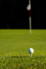 Closeup Golf ball on green grass on course