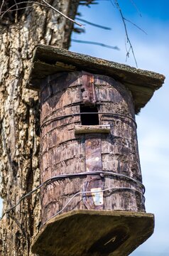 Rustic birdhouse tied to a dry tree