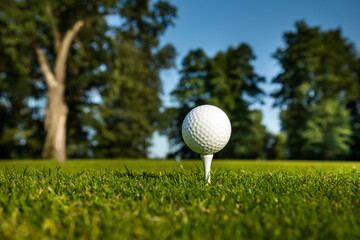 Golf ball in a club in the forest