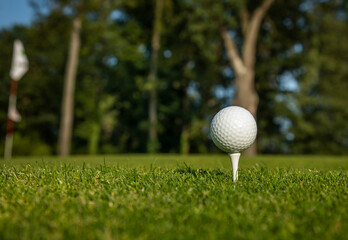 .Golf course with ball and grass