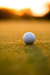 Golf course with ball and grass