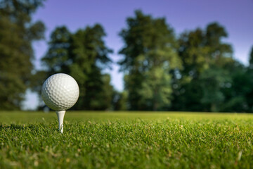 .Golf course with ball and grass