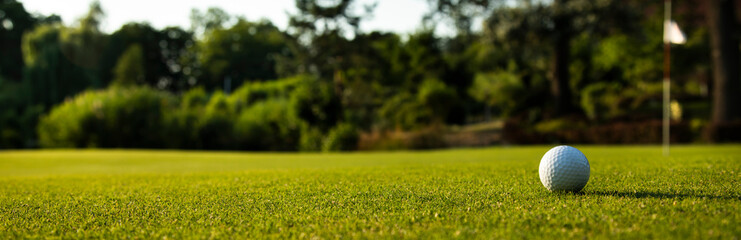 Closeup Golf ball on green grass on course