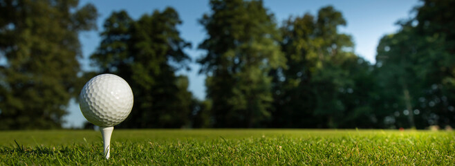 Closeup Golf ball on green grass on course