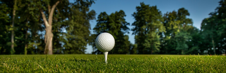 Golf ball on the golf course