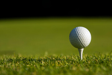 .Golf course with ball and grass