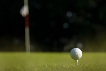 Closeup Golf ball on green grass on course