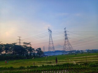 power, high, landscape, voltage, metal, nature, blue, plant, sky, grass, station, steel, structure, supply, technology, tower, transmission, voltage, green, industry, electricity, electrical, danger, 