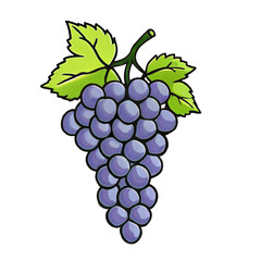 A cluster of purple grapes with green leaves