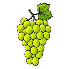 illustration of a single bunch of green grapes