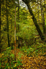 Broken rusty old lamp post in forest and lost place scenery
