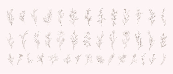 Botanic set of detailed various flowers and brunch. Luxury vintage floral collection for wedding invitation, wallpaper art or save the date card. Botanical vector illustration