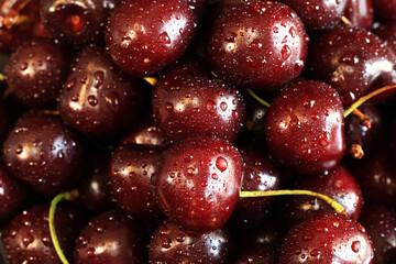 Cherry berries close-up. Wet sweet ripe cherries. Background. Dark red cherries with green stems covered with fine splashes of water. Summer berries, vitamins. Close-up of red berries