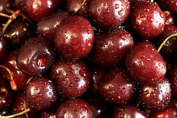 Cherry berries close-up. Wet sweet ripe cherries. Background. Dark red cherries with green stems covered with fine splashes of water. Summer berries, vitamins. Close-up of red berries