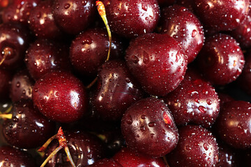 Cherry berries close-up. Wet sweet ripe cherries. Background. Dark red cherries with green stems covered with fine splashes of water. Summer berries, vitamins. Close-up of red berries
