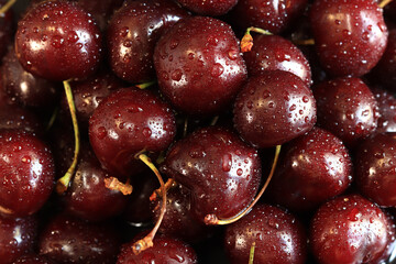 Cherry berries close-up. Wet sweet ripe cherries. Background. Dark red cherries with green stems covered with fine splashes of water. Summer berries, vitamins. Close-up of red berries