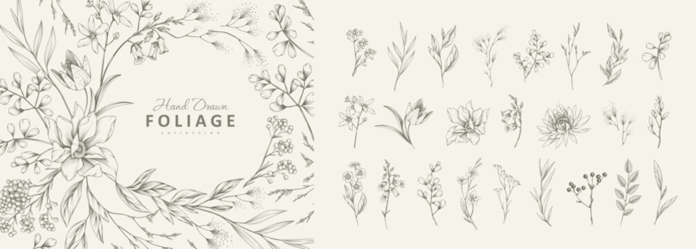 Botanic set of detailed various flowers and brunch. Luxury vintage floral collection for wedding invitation, wallpaper art or save the date card. Botanical vector illustration