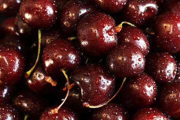 Cherry berries close-up. Wet sweet ripe cherries. Background. Dark red cherries with green stems covered with fine splashes of water. Summer berries, vitamins. Close-up of red berries