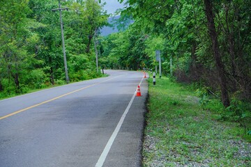 Obraz premium An empty asphalt path winds through a lush green forest under a bright summer sky