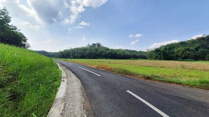 Country road and yellow rape rice fields with green mountain nature landscape under blue sky.