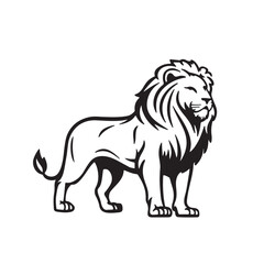 lion illustration