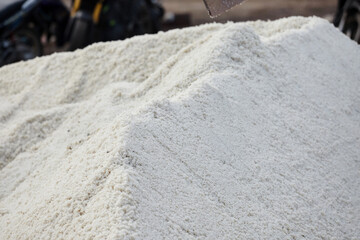 Agriculture using wooden rake for harvesting dried salt at salt pan