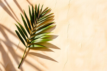 Fototapeta premium Branche de palmier et son ombre sur un mur beige