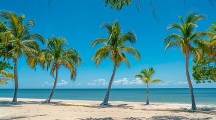 Obraz premium Tropical Paradise: Palm Trees on a Sandy Beach