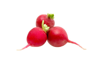 Radish isolated on white