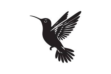Hummingbird vector art illustration