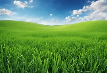 Obraz premium green field and blue sky