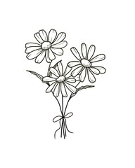 Bouquet of flowers chamomile outline drawing hand drawn white background