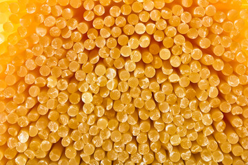 棒状のパスタの束