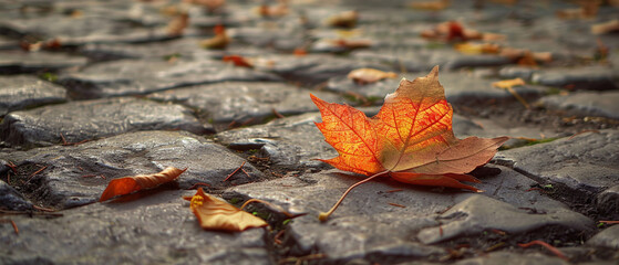 Autumn maple leaf on a cobblestone pavement in the city