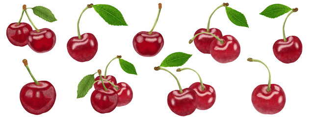 collection of illustration cherry isolated, group of painting cherry.