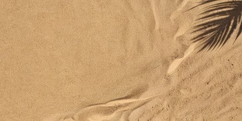 Sea sand with palm leaf shadow, serene background. Perfect for beach-themed designs, advertising campaigns, social media and blog posts, calming backdrops, banners, meditation and relaxation products