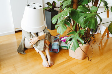 transplanting monstera into large flowerpot at home © larisikstefania